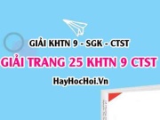 Giải KHTN 9 trang 25 Chân trời sáng tạo SGK